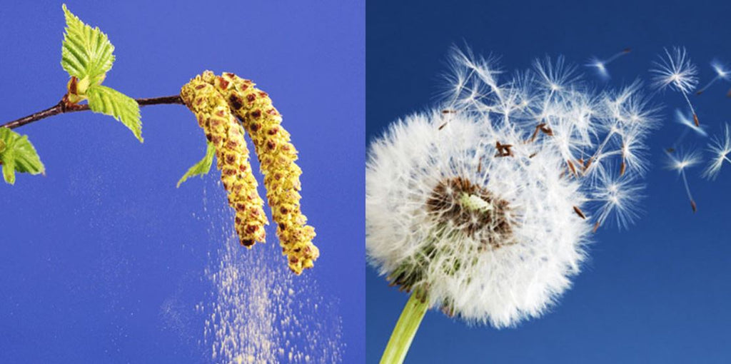 Spring Eye Care Tips For Colored Lens Wearers