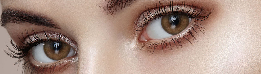 Ever Shine 1Day Brown Colored Korean Contact Lenses-Olens