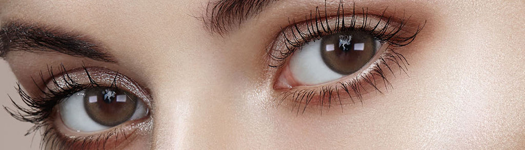 NUO Brown Coloured Korena Contact Lenses - Lensme