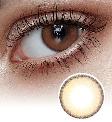 Holoris 1Day Ginger Brown Colored Contact Lenses-Lensme