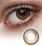 Qloring 1 Day Brown (30P)