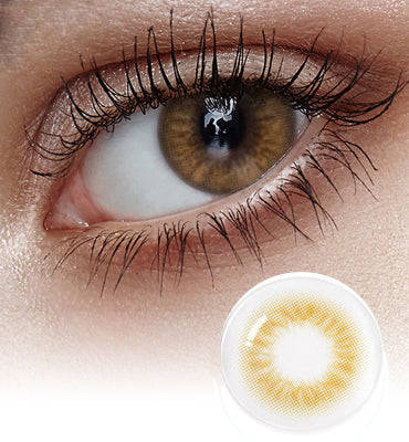 Scandi 1Day Hazel (20P)