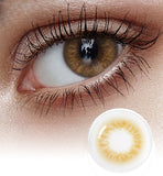 Scandi 1Day Hazel (20P)
