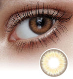 Spanish Circle Brown