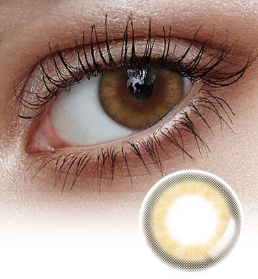 Eye Bridge Brown Colored Contact Lenses-Lensme