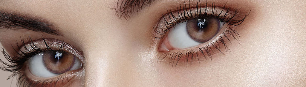 Olens ViViRing 1 day Brown Colored Contact Korean Lenses