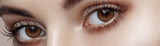 Qloring 1 Day Brown Colored Contact  Lenses-Lensme