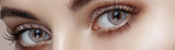 O-lens Russian Velvet Gray Colored Contact korean lenses-Olens