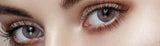 Olens - BlackPink Rose ViViRing 1 Day Gray Colored Korean Contact Lenses