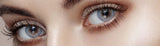 O-lens Russian Velvet Blue Colored Contact korean lenses-Olens