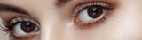 Mega Look Mid Some Choco Colored Contact Lenses-Lensme