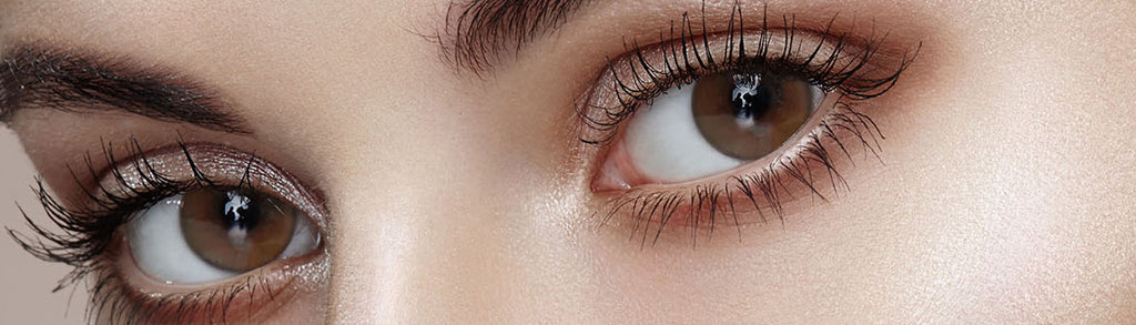 Shine Touch Milky Brown Colored Korean Contact Lenses - Olens