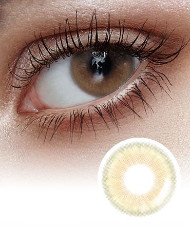 Sherbet Brown Coloured Korena Contact Lenses - Lensme