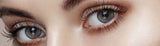 Glowy  Tear 1-Day Gray (20P)