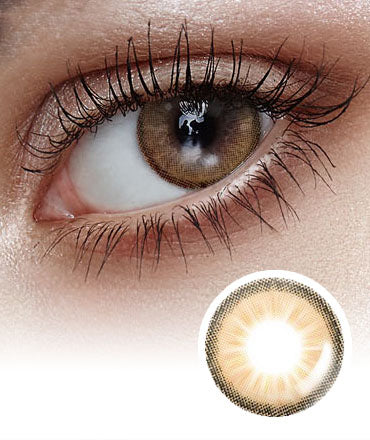 Holoris Plus 3 Color Ginger Brown