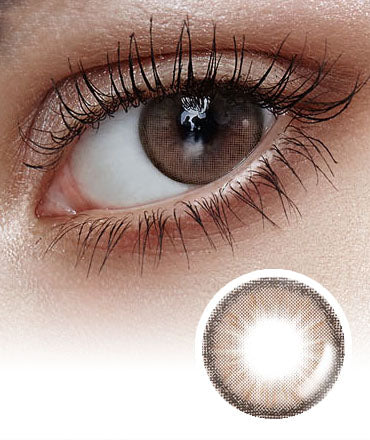 Holoris Plus 3 Color Mousse Choco