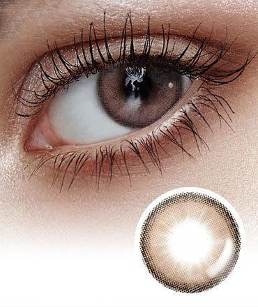 Holoris Plus Mousse Choco