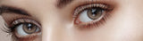 Muse 1-Day Shine Brown (10P)