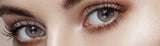 Muse 1-Day Shine Gray (10P)