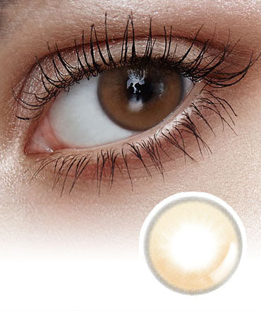 Original 1-Day Series Eye Dew Tone Up Brown (10P)  Colored Korean Contact Lenses - Lensme