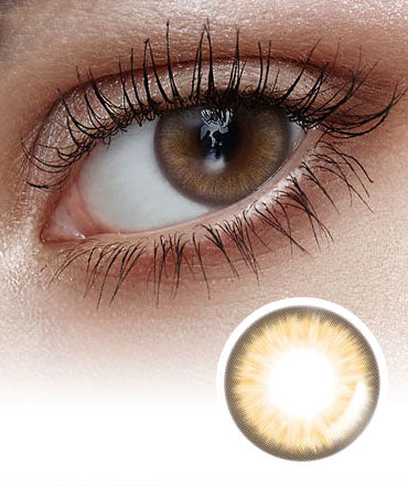 Secret Dewat Touch Brown Korean Colored Contact Lenses - Lensme