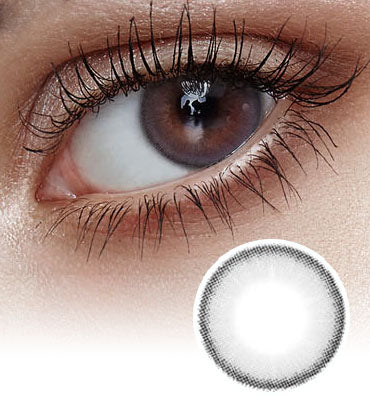 Holoris 1Day Mild Gray Colored Contact Lenses-Lensme