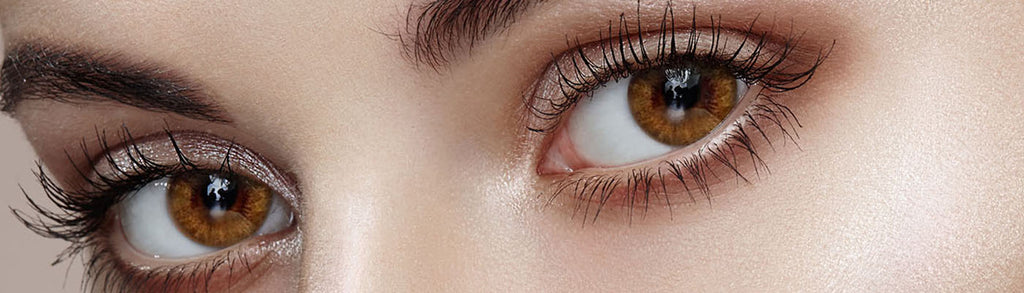 Honey Ring Brown Colored Contact Lenses-Olens