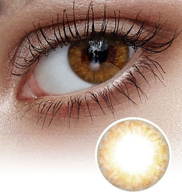 Honey Ring Brown Colored Contact Lenses-Olens
