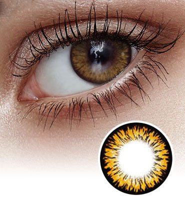 Love Cat Brown Colored Contact Lenses-Lensme