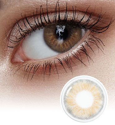 Plie Brown Colored Contact Lenses-Olens