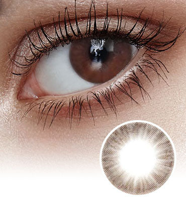 Secret Homme Choco Colored Contact Korean Lenses