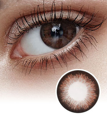 Talk Talk Choco Sugar Brown