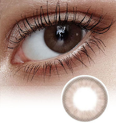 Eye Bridge Choco Colored Contact Lenses-Lensme