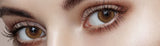 Eye Bridge Brown Colored Contact Lenses-Lensme